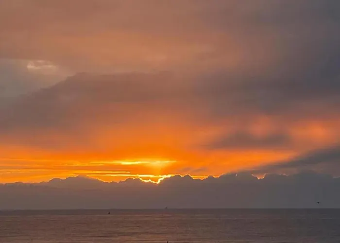 In Near The * 오스텐드